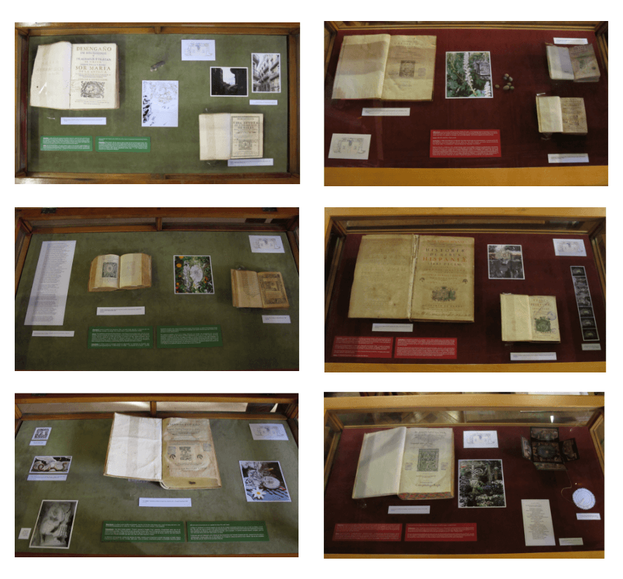 Exposición Física Original (Antes)